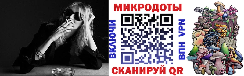OMG наркошоп Геленджик Псилоцибиновые грибы Magic Shrooms